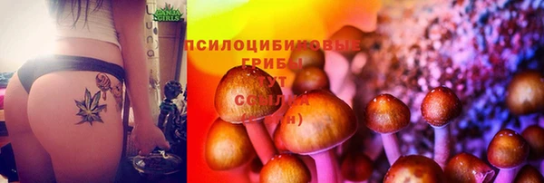 герыч Абаза