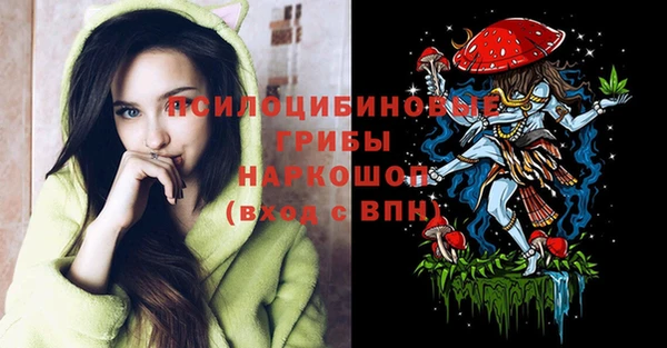 гидропоника Абдулино