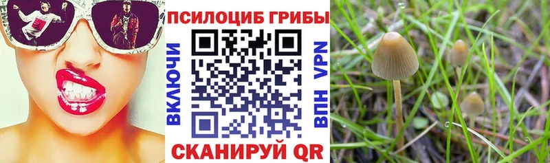 Галлюциногенные грибы прущие грибы  мега tor  Прокопьевск 