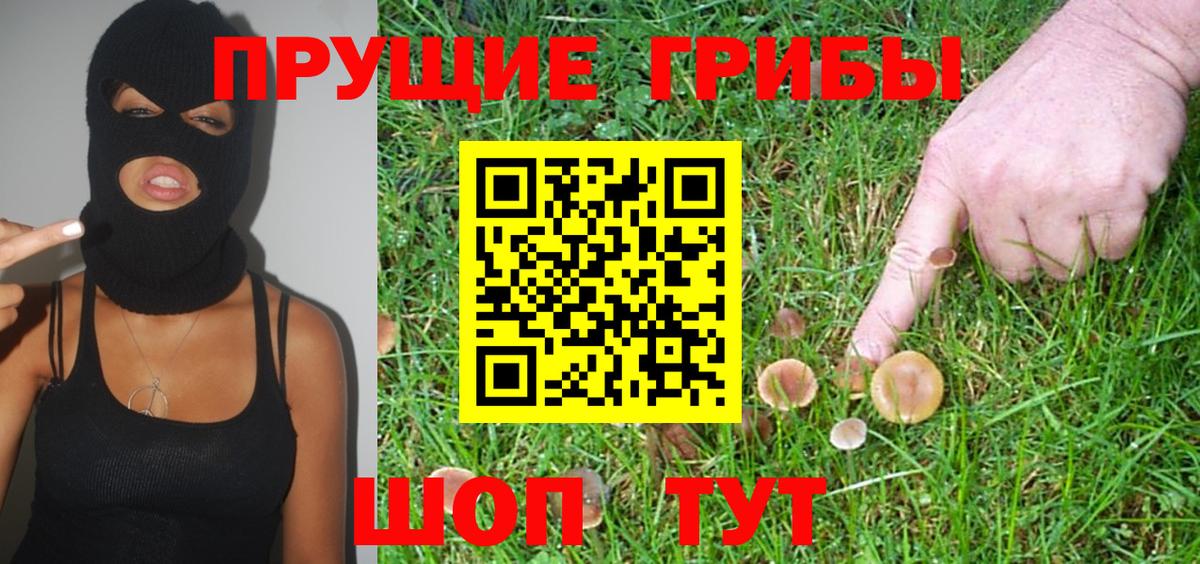 Псилоцибиновые грибы Psilocybine cubensis  Вход с VPN  Псилоцибиновые грибы мицелий  Прокопьевск 