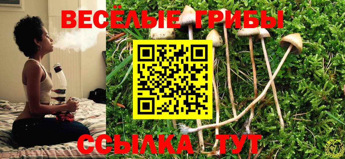 Галлюциногенные грибы MAGIC MUSHROOMS Прокопьевск